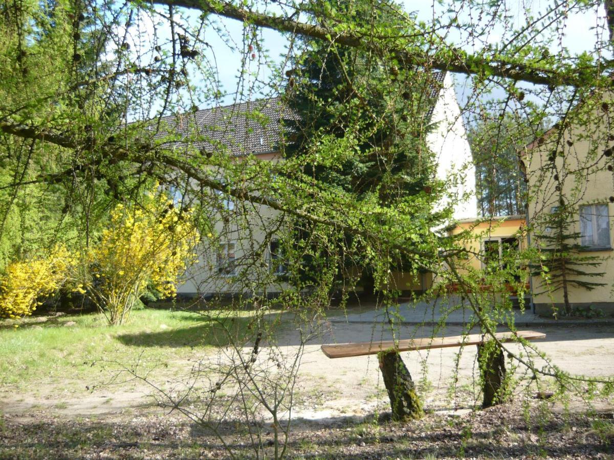 Grosse Wohnung Nossentiner Huette Exteriör bild